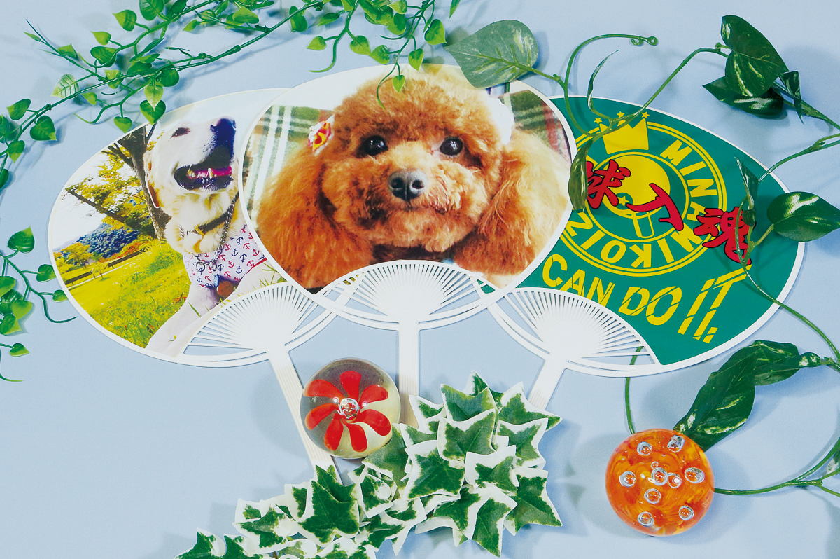 【新品未開封】トライアングル　仙台　キーホルダー　うちわセット EXILE TRIBE STATION ONLINE STORE｜TRIBE KINGDOM うちわ型ラメ